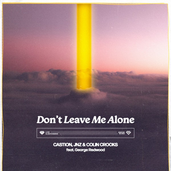 Don't Leave Me Alone artwork