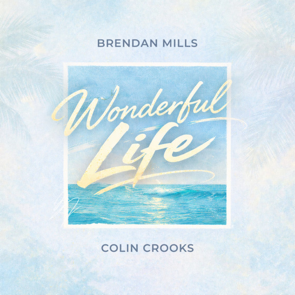 Wonderful Life artwork